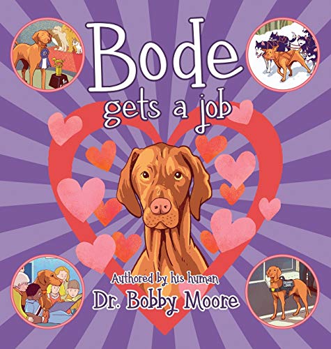 Bode Gets a Job