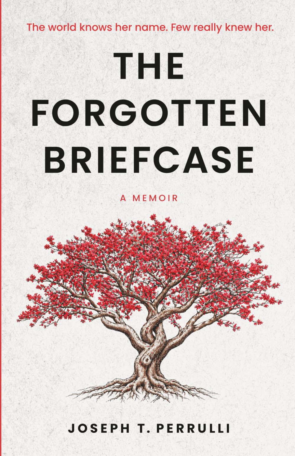 The Forgotten Briefcase