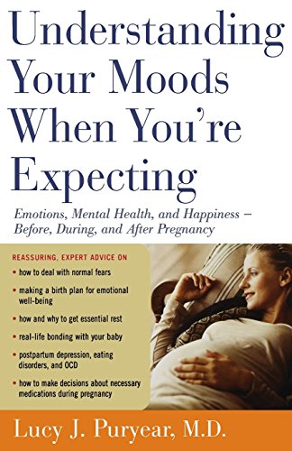 Understanding Your Moods When You're Expecting: Emotions, Mental Health, and Happiness -- Before, During, and AfterPregnancy