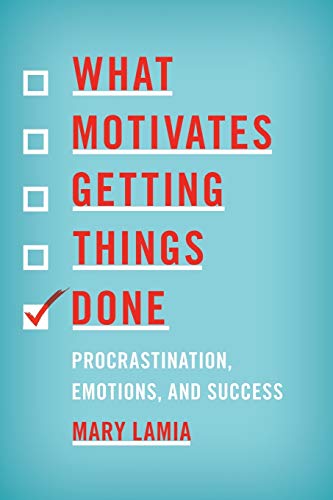 What Motivates Getting Things Done: Procrastination, Emotions, and Success