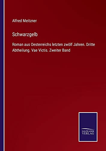 Schwarzgelb: Roman aus Oesterreichs letzten zwölf Jahren. Dritte Abtheilung. Vae Victis. Zweiter Band