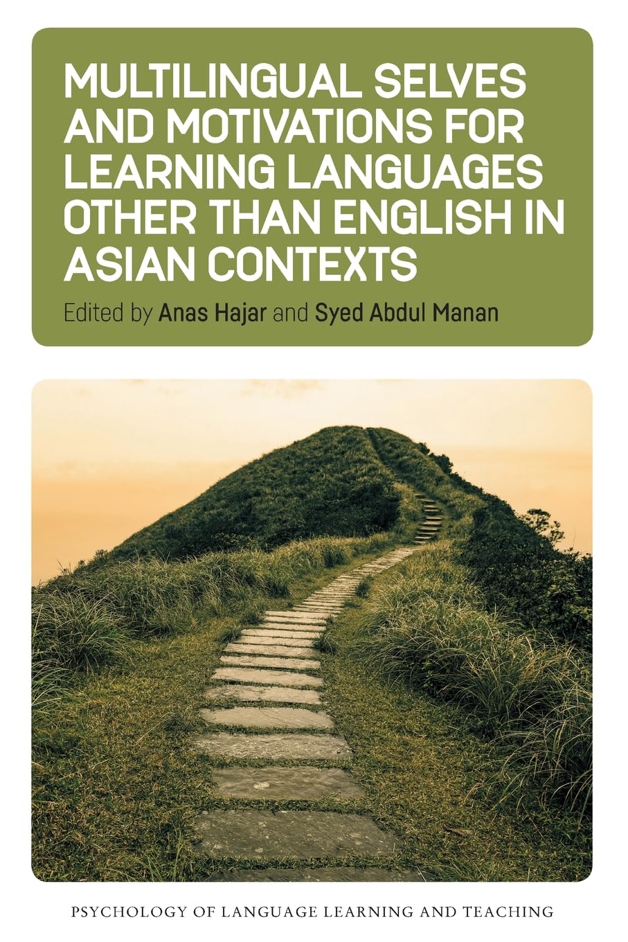 Multilingual Selves and Motivations for Learning Languages other than English in Asian Contexts (Psychology of Language Learning and Teaching, 24)
