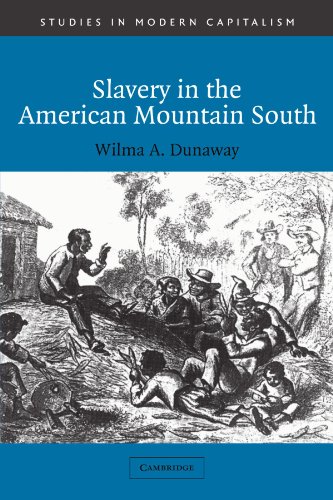 Slavery in the American Mountain South (Studies in Modern Capitalism)