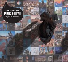 A Foot In The Door  (The Best Of Pink Floyd) von Pink Floyd | CD | Zustand akzeptabel