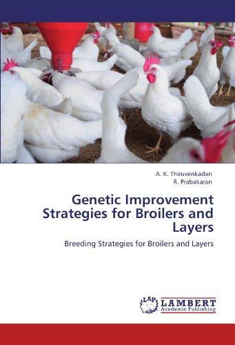 Genetic Improvement Strategies for Broilers and Layers: Breeding Strategies for Broilers and Layers