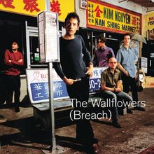 Breach von The Wallflowers, Jakob Dylan | CD | Zustand gut