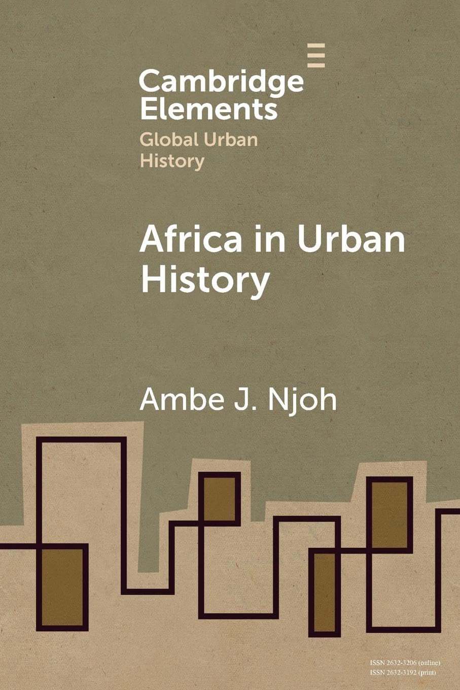 Africa in Urban History (Elements in Global Urban History)