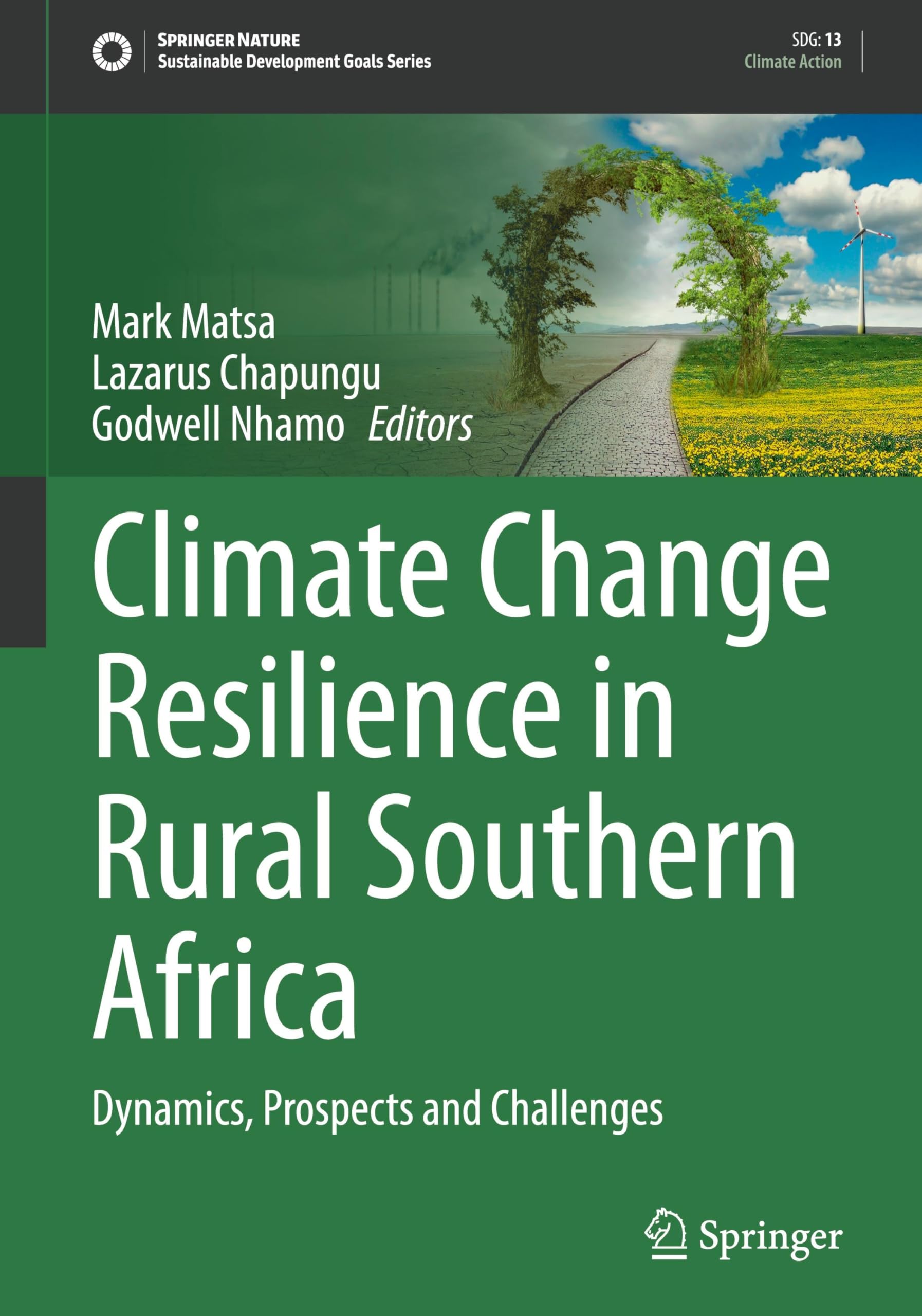 Climate Change Resilience in Rural Southern Africa: Dynamics, Prospects and Challenges (Sustainable Development Goals Series)