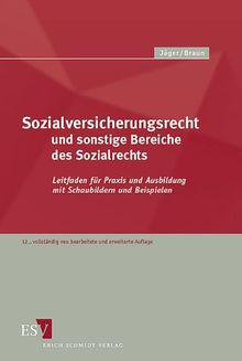 Sozialversicherungsrecht und sonstige Bereiche des Sozialrechts: Leitfaden für Praxis und Ausbildung mit Schaubildern und Beispielen