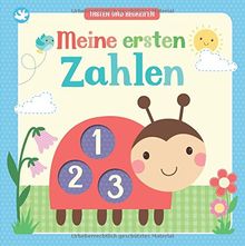 Little Learners - Meine ersten Zahlen: Tasten und Begreifen
