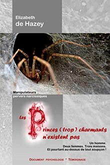 Les Princes (trop) charmants n'existent pas: Un homme. Deux femmes. Trois maisons. Et pourtant au-dessus de tout soupçon...