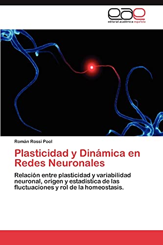 Plasticidad y Dinámica en Redes Neuronales: Relación entre plasticidad y variabilidad neuronal, origen y estadística de las fluctuaciones y rol de la homeostasis.