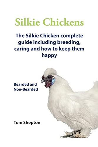 Tom Shepton Silkie Chickens A Complete Guide To Caring And Breeding.