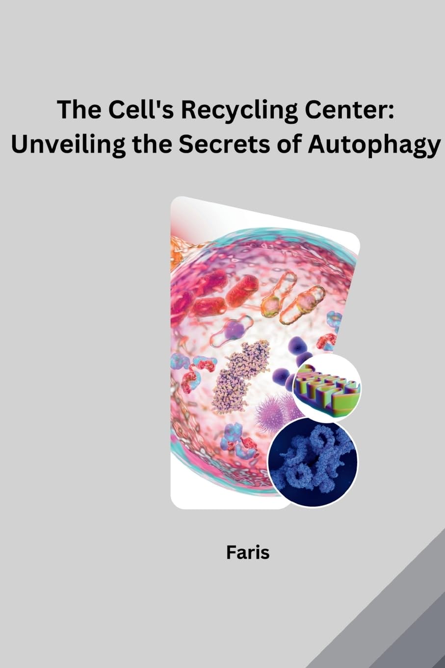 The Cell's Recycling Center: Unveiling the Secrets of Autophagy: DE