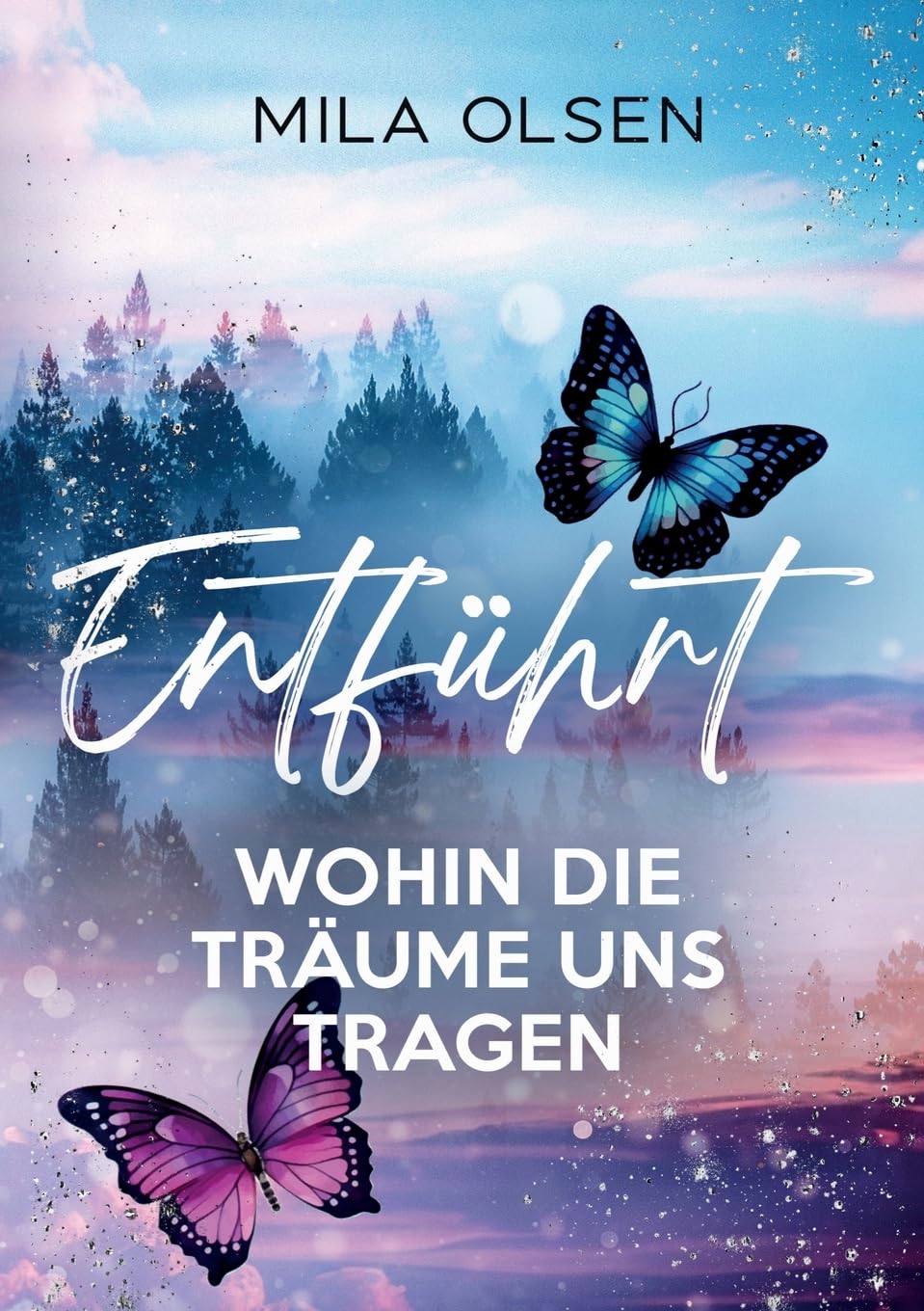 Entführt - Wohin die Träume uns tragen (Entführt: Under Northern Skies)