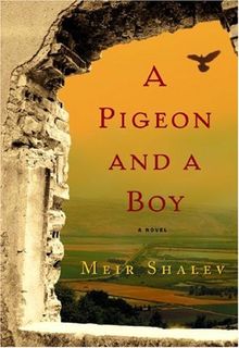 A Pigeon and a Boy: A Novel