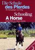 Die Schule des Pferdes, Teil 3: Mit Seitengängen zum Erfolg