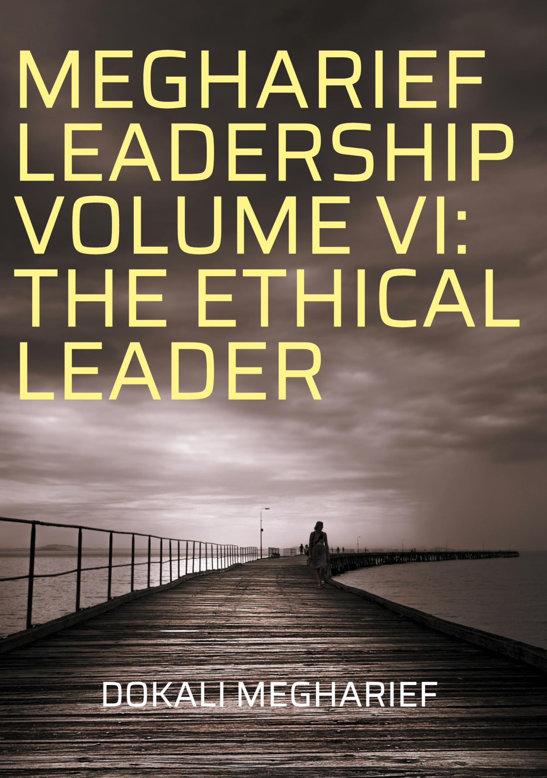 MEGHARIEF LEADERSHIP VOLUME VI: THE ETHICAL LEADER: Business Leadership