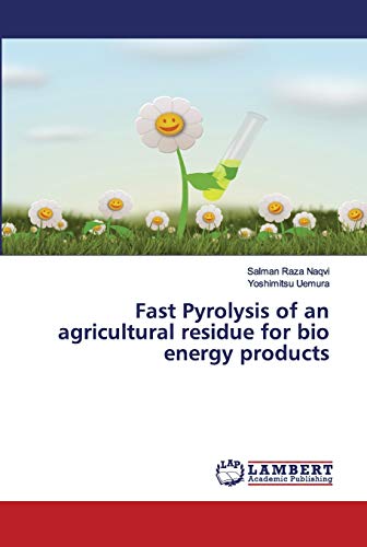 Fast Pyrolysis of an agricultural residue for bio energy products