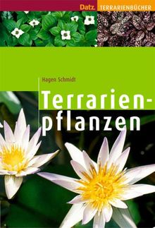 Terrarienpflanzen von Schmidt, Hagen | Buch | Zustand gut