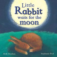 Little Rabbit Waits For The Moon