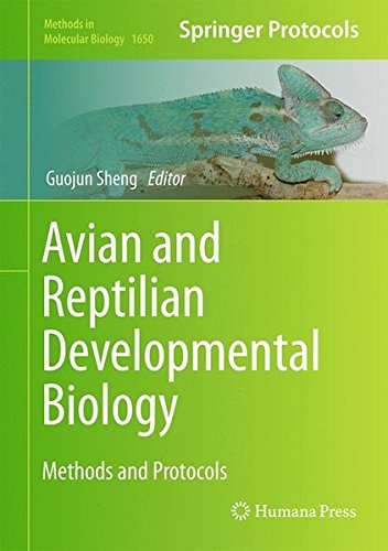 Avian and Reptilian Developmental Biology: Methods and Protocols (Methods in Molecular Biology)