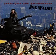 There Goes the Neighbourhood de Joe Walsh | CD | état très bon
