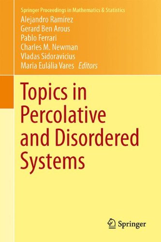 Topics in Percolative and Disordered Systems (Springer Proceedings in Mathematics & Statistics, Band 69)
