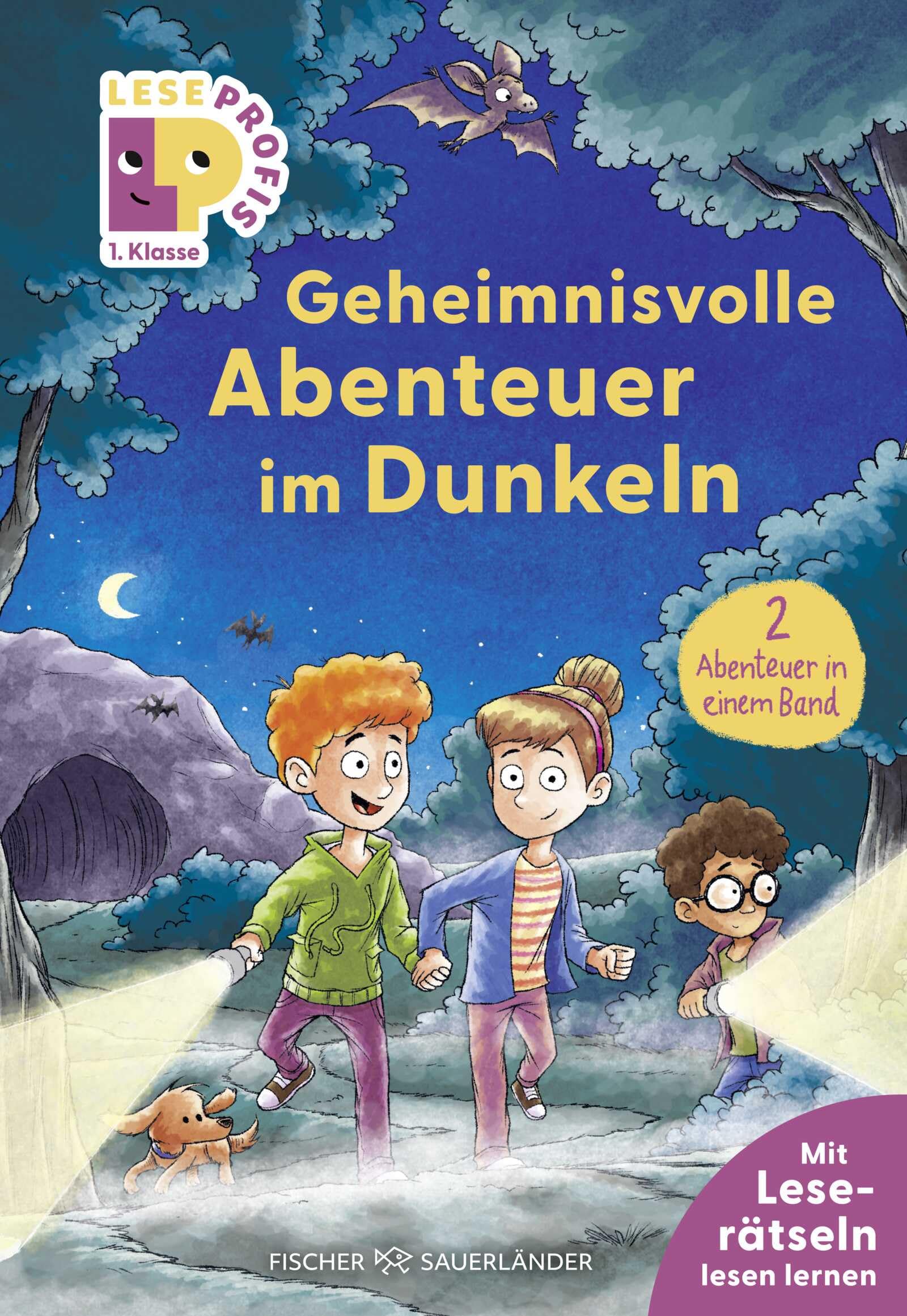 Leseprofis - Geheimnisvolle Abenteuer im Dunkeln, 1. Klasse (Doppelband)