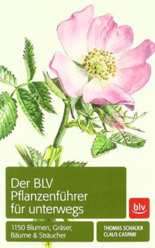 Der BLV Pflanzenführer für unterwegs: 1150 Blumen, Gräser, Bäume und Sträucher