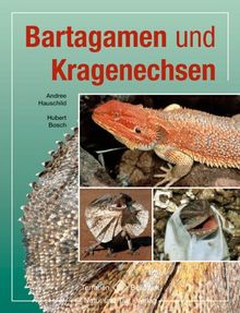 Bartagamen und Kragenechsen