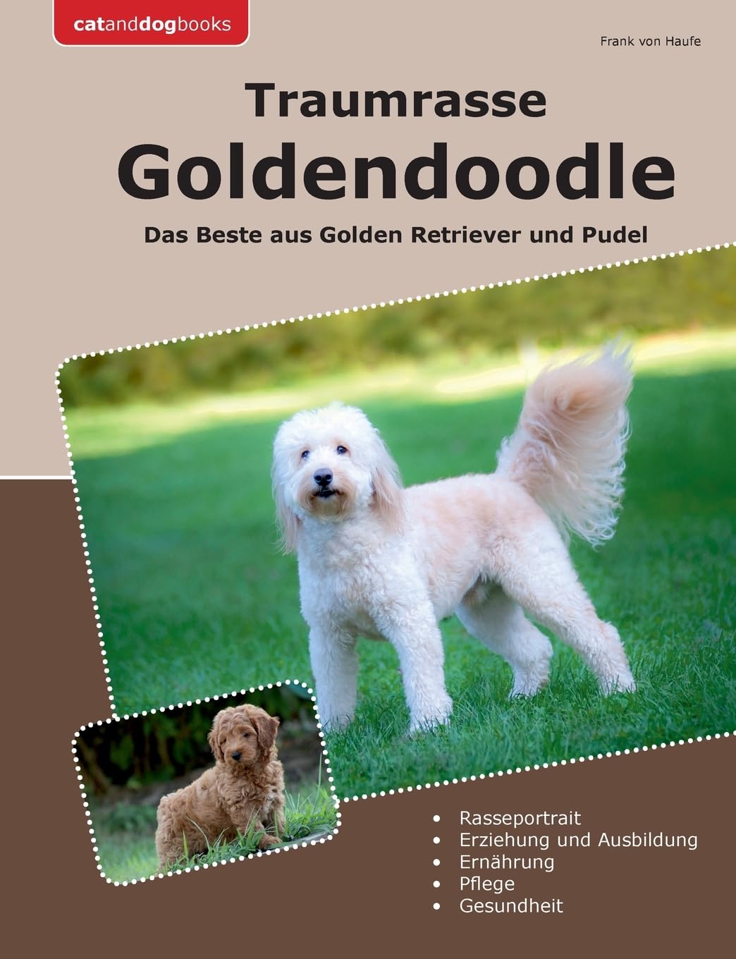 Traumrasse Goldendoodle: Das Beste aus Golden Retriever und Pudel
