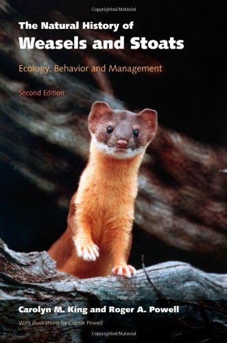 The Natural History of Weasels and Stoats: Ecology, Behavior, and Management