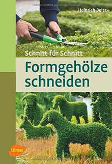 Formgehölze schneiden: Schnitt für Schnitt