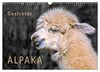 Alpaka Gesichter (Wandkalender 2023 DIN A3 quer), Calvendo Monatskalender