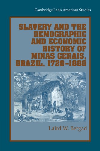 Slavery Econ Demo Hist Minas Gerais (Cambridge Latin American Studies, Band 85)