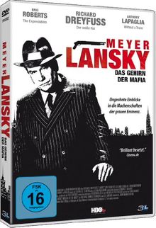 Meyer Lansky Das Gehirn der Mafia (DVD) von John McNaughton | DVD | Zustand sehr gut