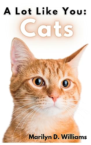 Oelder Buchhandlung – Lange Str, 59302 Oelde