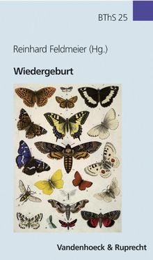 Wiedergeburt (Biblisch-Theologische Schwerpunkte)