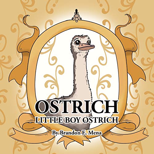 OSTRICH: LITTLE BOY OSTRICH