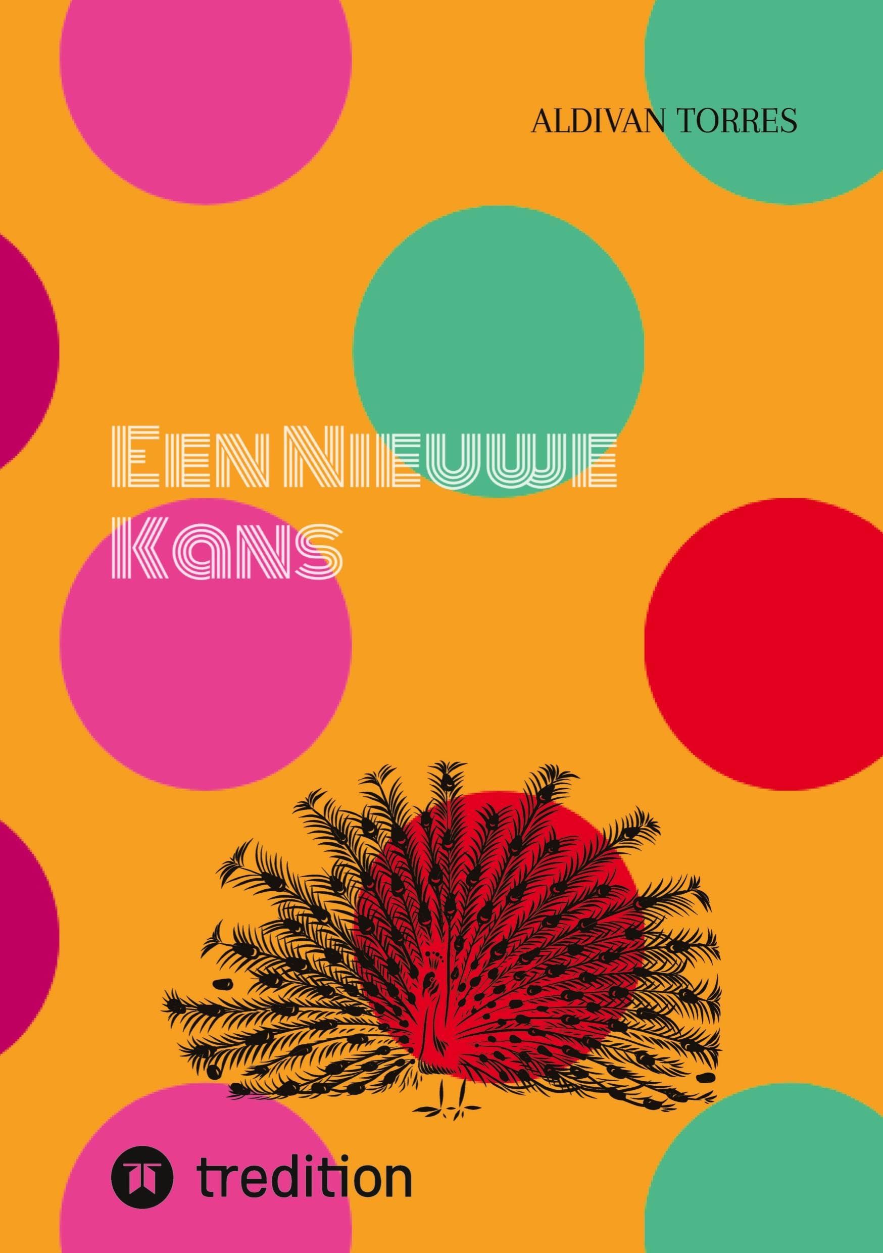 Een Nieuwe Kans: DE