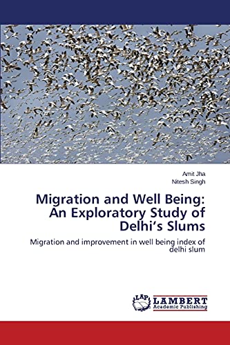 Migration and Well Being: An Exploratory Study of Delhi’s Slums: Migration and improvement in well being index of delhi slum