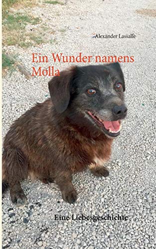 Ein Wunder namens Molla: Eine Liebesgeschichte