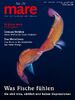 mare - Die Zeitschrift der Meere / No. 151 / Was Fische fühlen: Sie sind treu, zärtlich und haben Depressionen: Sie sind treu, zärtlich und haben Dpressionen