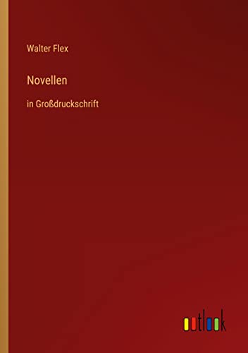 Novellen: in Großdruckschrift