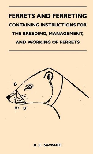 Ferrets And Ferreting - Containing Instructions For The Breeding, Management, And Working Of Ferrets
