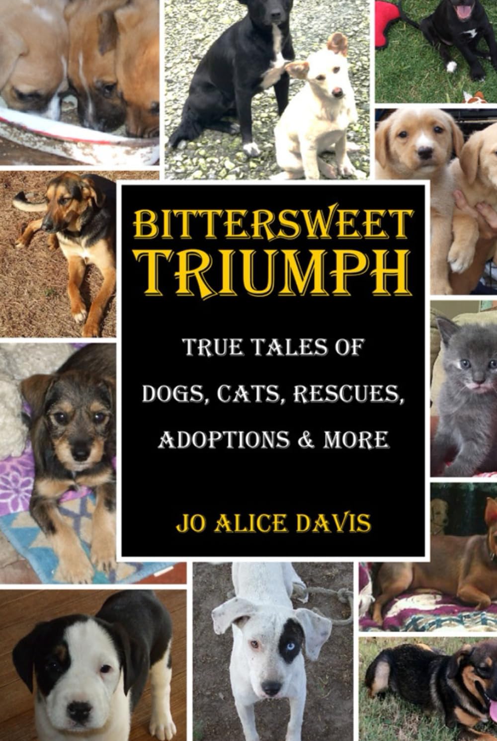 Oelder Buchhandlung – Lange Str, 59302 Oelde