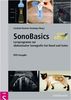 SonoBasics. DVD für Windows 98/ME/2000/XP: Lernprogramm zur abdominalen Sonografie bei Hund und Katze