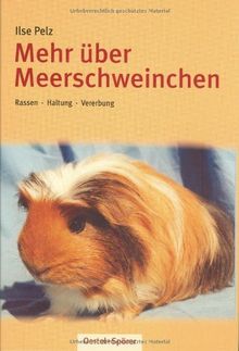 Mehr über Meerschweinchen: Rassen - Haltung - Vererbung