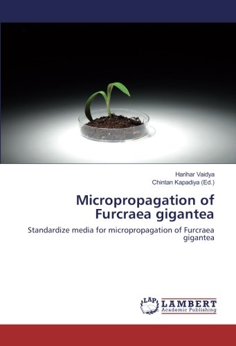 Micropropagation of Furcraea gigantea: Standardize media for micropropagation of Furcraea gigantea
